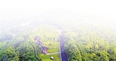 “环球体育HQ官网登录入口”为龙泉山充植 给大森林修身 7万亩国土绿化试点示范项目年底建成(图2)