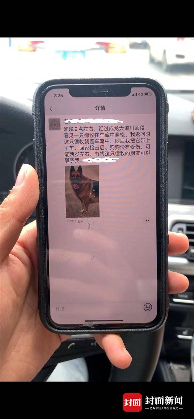 成都丢失搜救犬西西找到了 被好心人收留在猪圈 四川在线