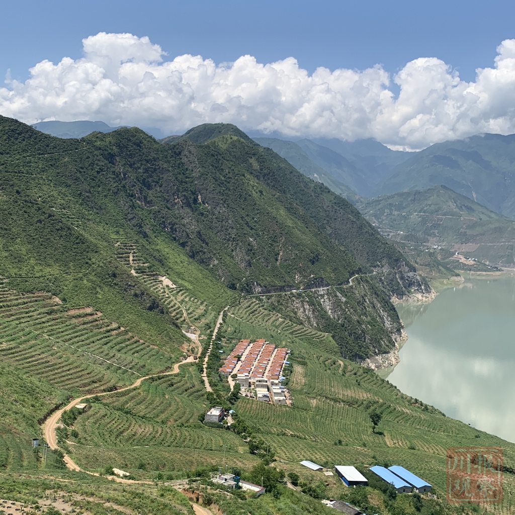 10日,记者走进位于凉山州雷波县卡哈洛乡大火地村的脐橙种植基地看到