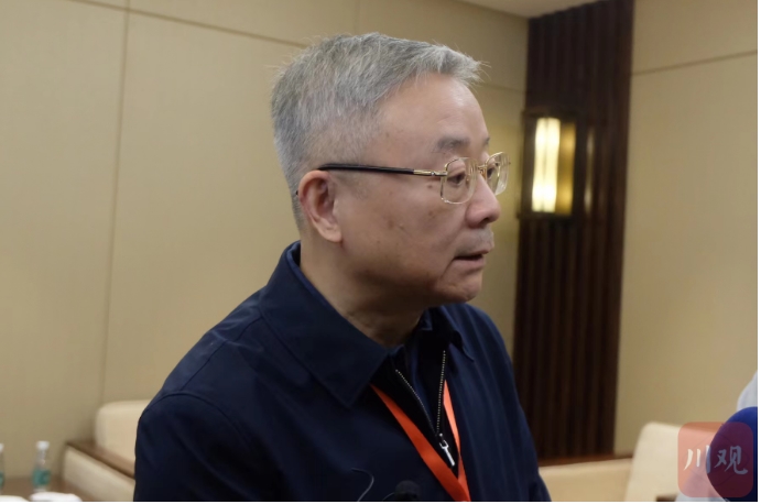 天府书展大咖谈 丁双平：透过天府书展，我感受到四川出版正在攀向高峰_四川在线