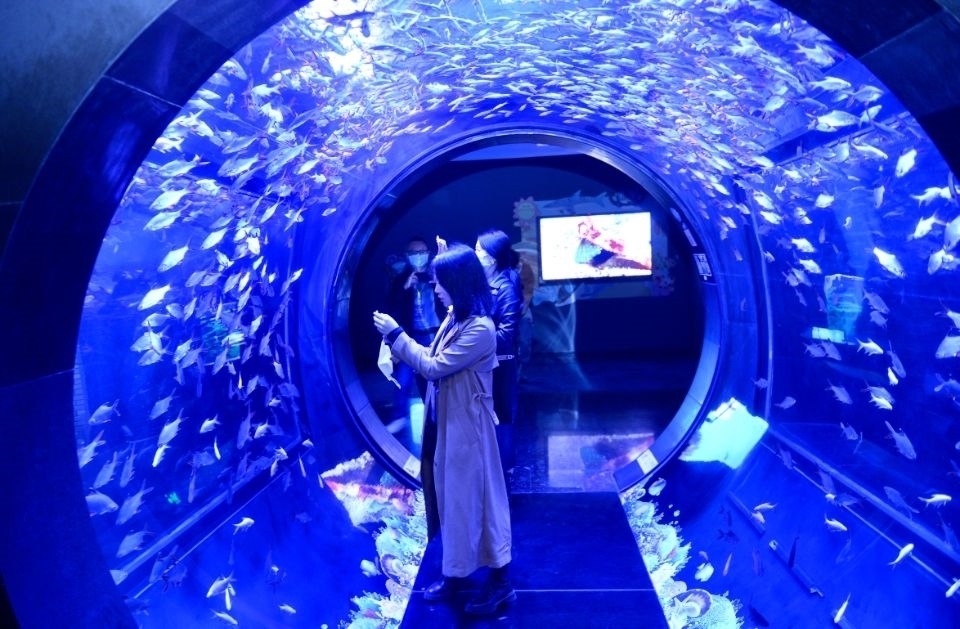 全国主流媒体双流行一这个破了世界纪录的海洋馆欲打造西南海洋科普