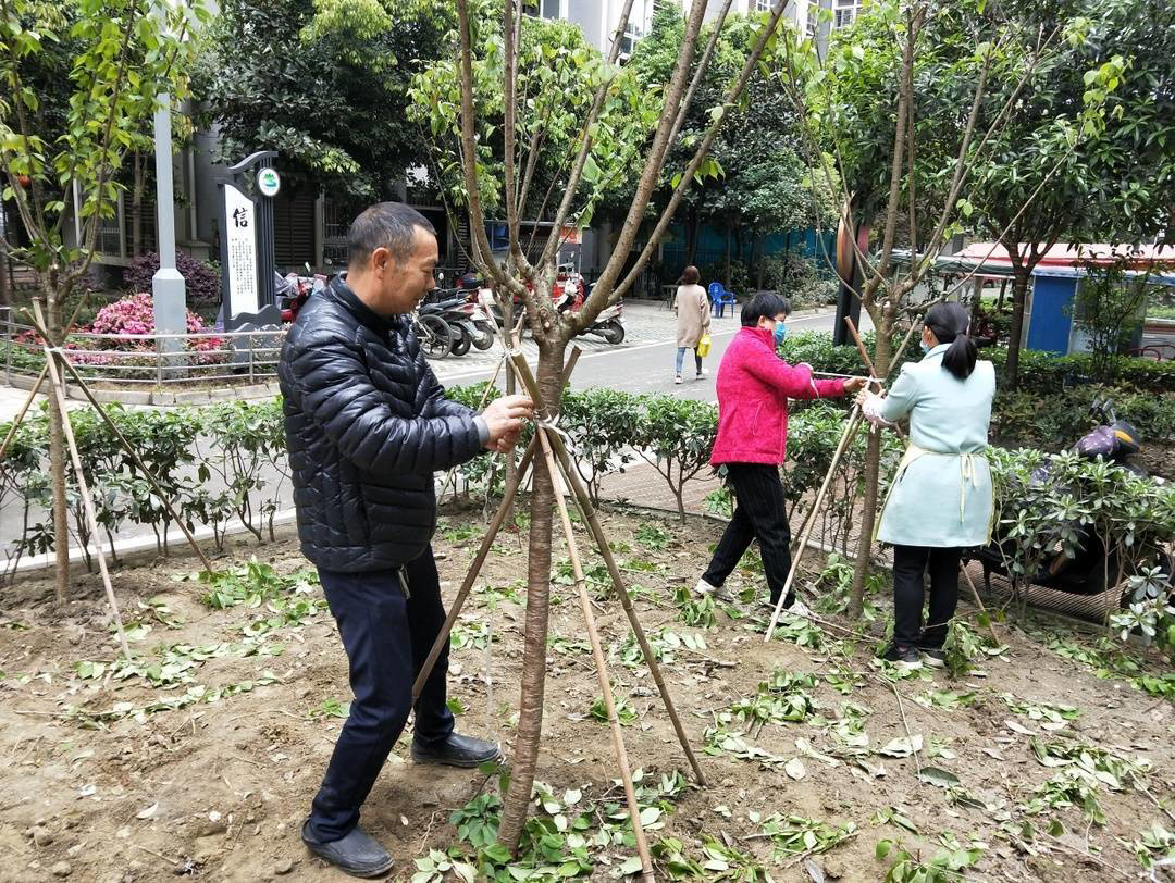 泛亚电竞官方入口-“小网格”激活“微治理” 增添居民幸福“动力源”(图2)