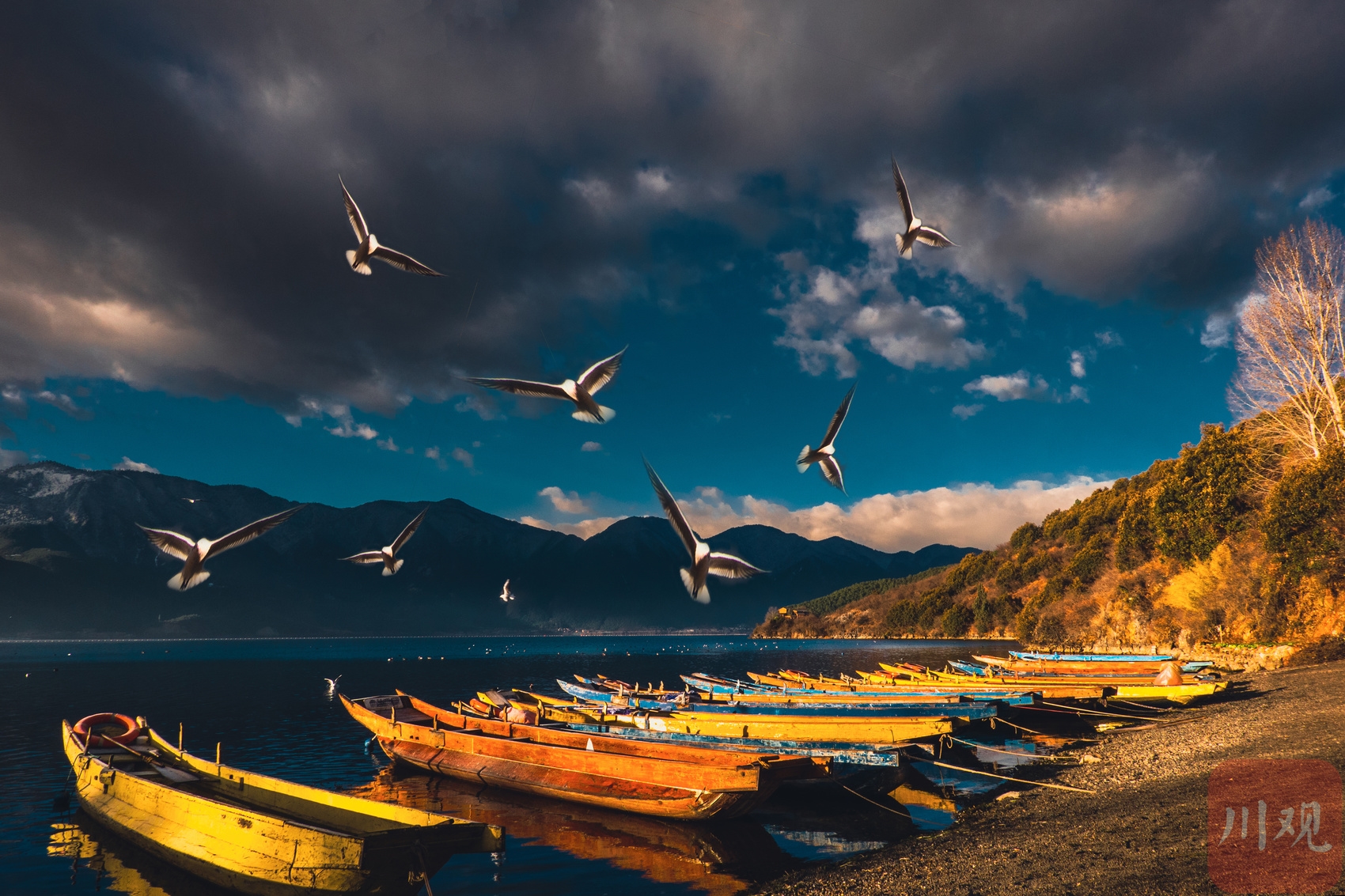 泸沽湖—不期而遇的一场梦（最美的季节～冬）-泸沽湖旅游攻略-游记-去哪儿攻略