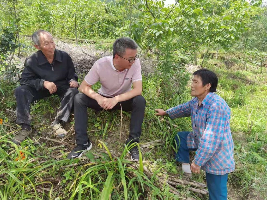 天府人物推介|驻村第一书记李沁伦:脱贫攻坚路上的追光者