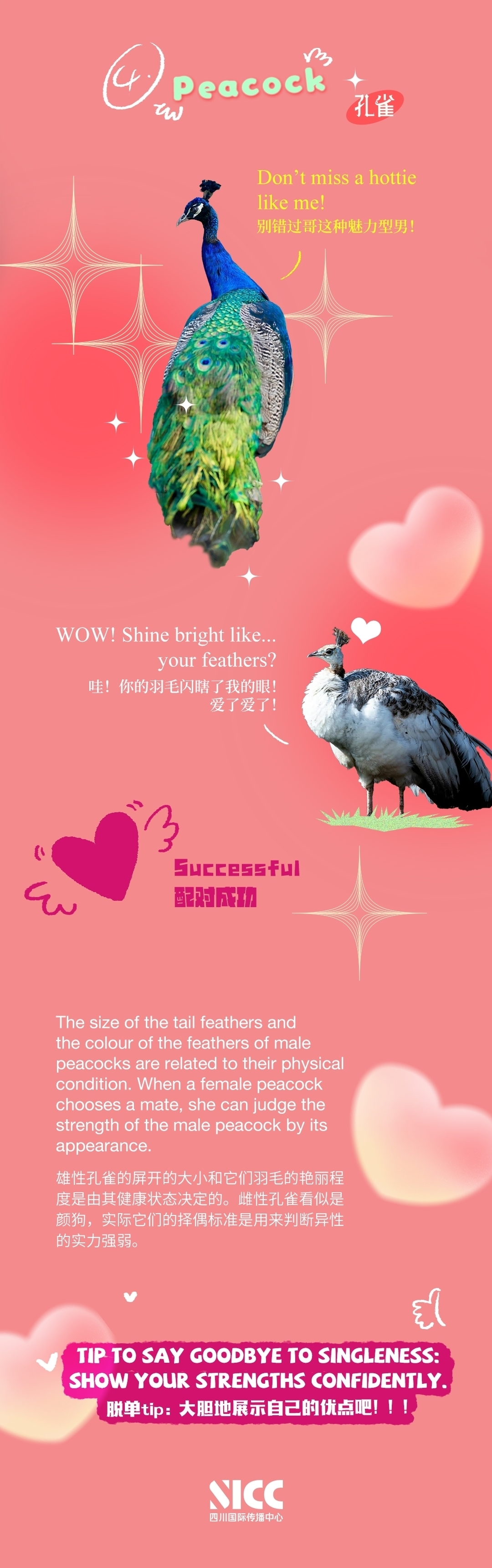 how-do-birds-celebrate-their-valentines-day-center