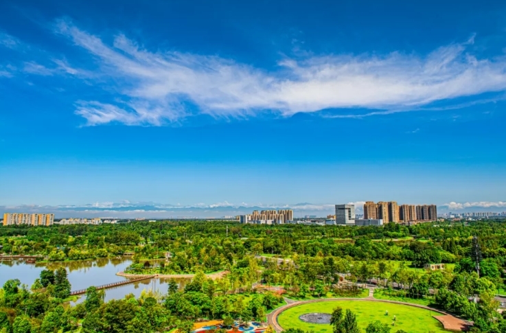 双流区委十三届十四次全会决议发布高质量建设践行新发展理念的中国