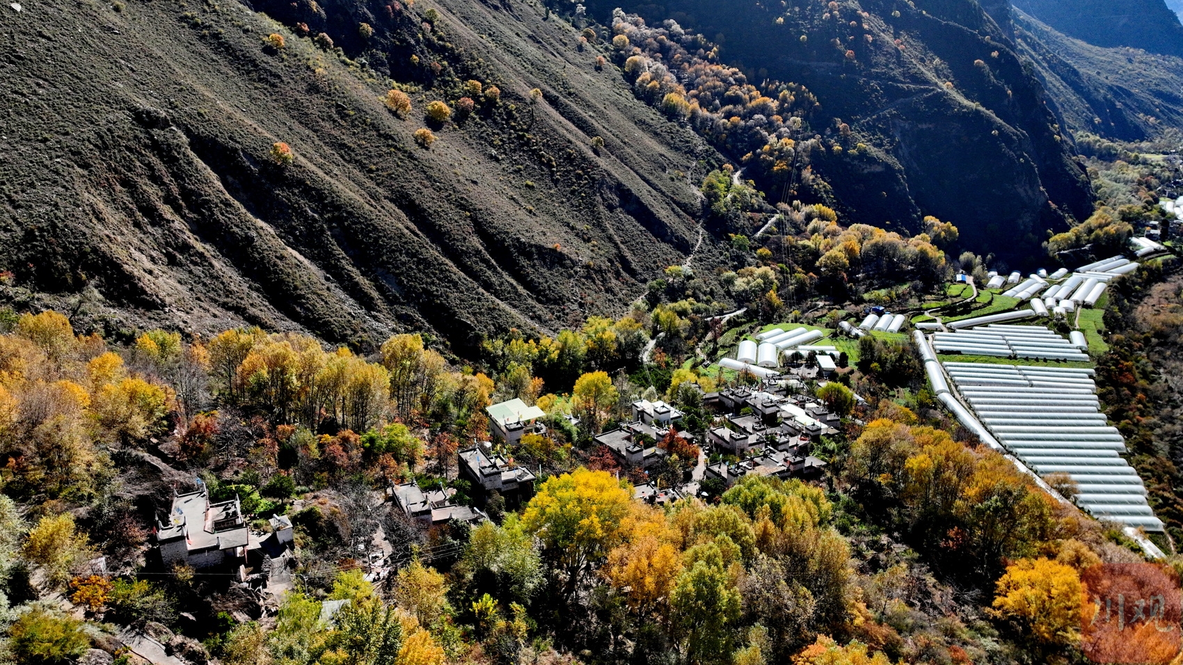四川甲居藏寨，海拔两千米的“空中村寨”，花一开便美成“仙境”_丹巴
