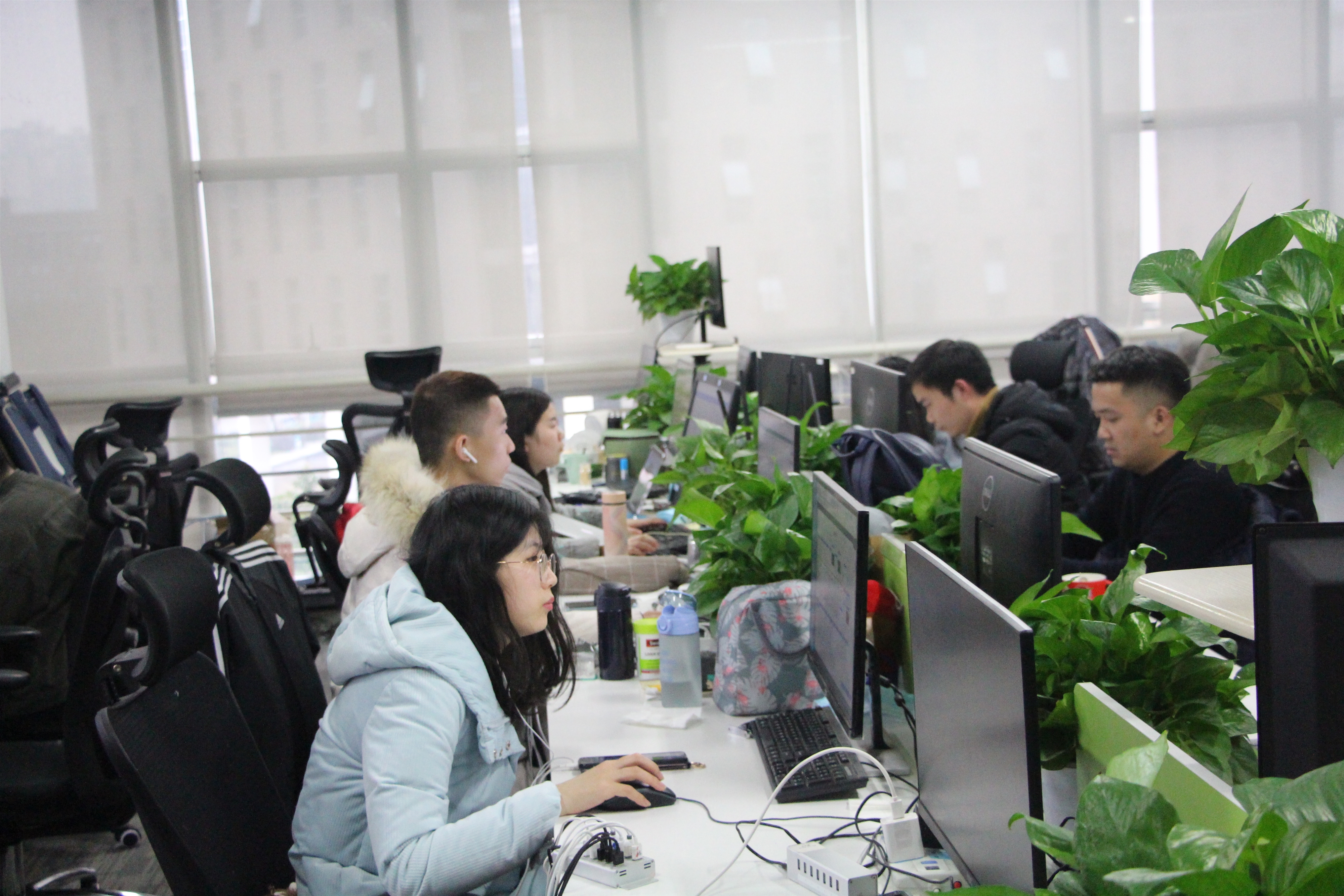 testbird测试:用测试技术赋能移动互联网