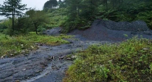 矿山如何变青山？四川发布十大典型案例