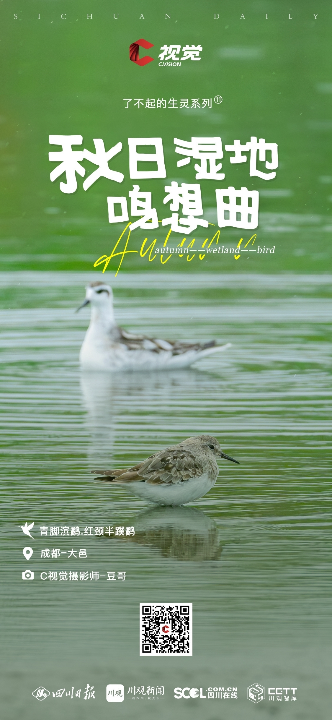 C视觉了不起的生灵⑪|秋日湿地鸣想曲：ag九游会登录j9入口(图22)