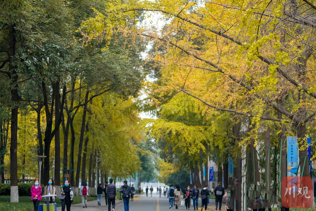 走成華大道,我們就來到了第二站成都理工大學二仙橋校區,西區的桐蔭路