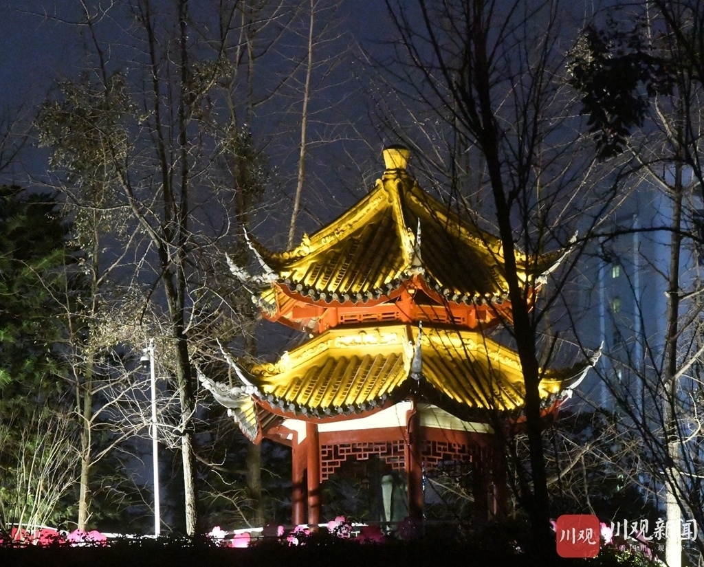 視頻古韻新風打卡成都百花潭文化公園琴臺路夢幻夜色