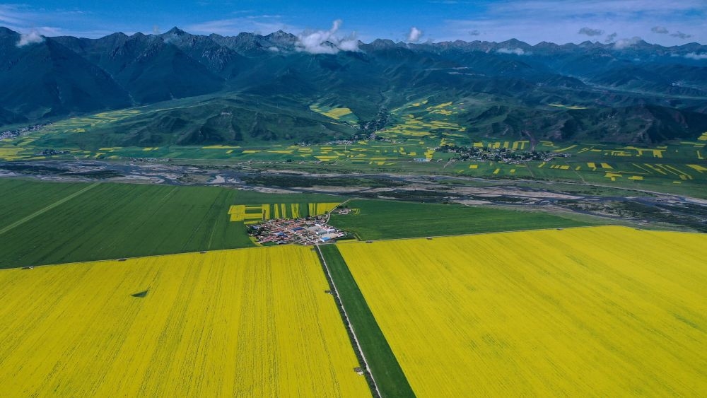 甘南_甘南草原旅游攻略_甘南招聘