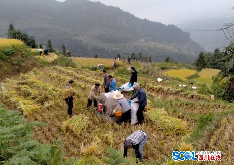 古蔺县有多少人口_40天打井40口 古蔺8万人 解渴