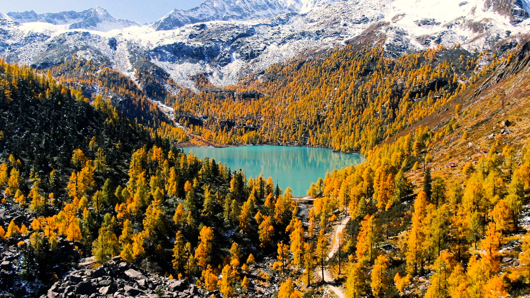 高清美图|五彩斑斓的彩林,秋天的道孚风景正盛_四川在线