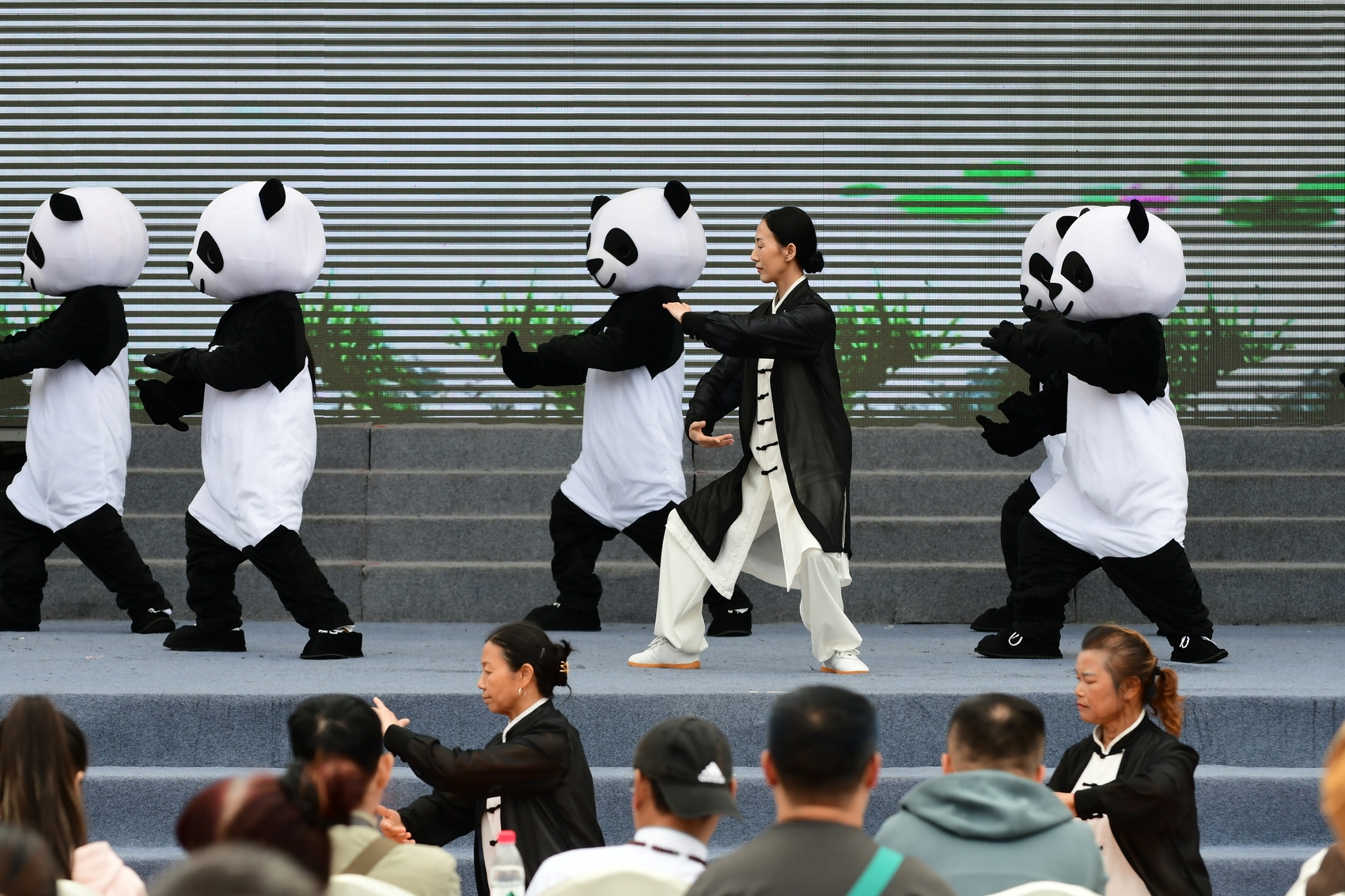 快来打卡缤纷非遗！成华区开启熊猫太极＋非遗活动周“雷火电竞官方网站”(图3)