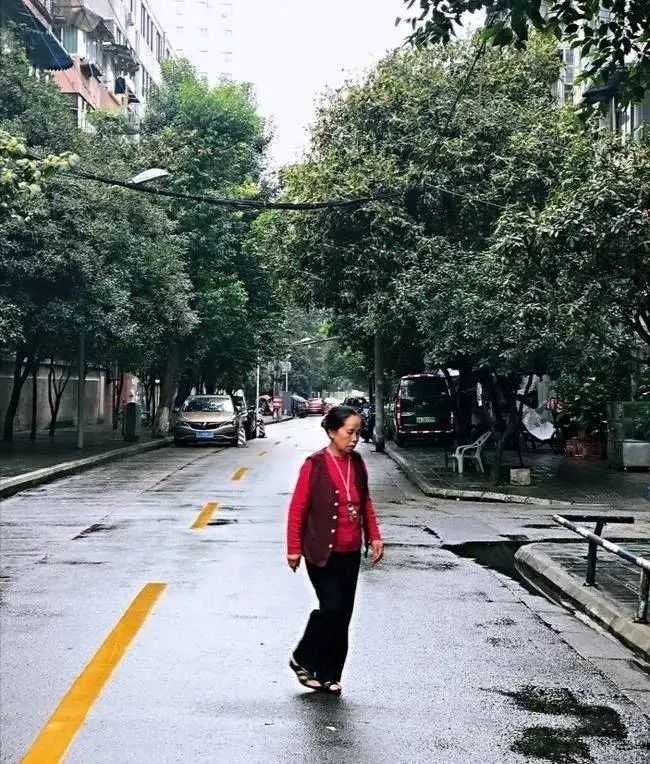 痛心！成都三百年桂花巷，桂花树全砍光
