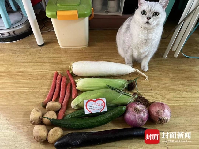 Kaiyun官方网_收到爱心蔬菜包 疫情封控区居民花式晒菜表达感谢(图5)
