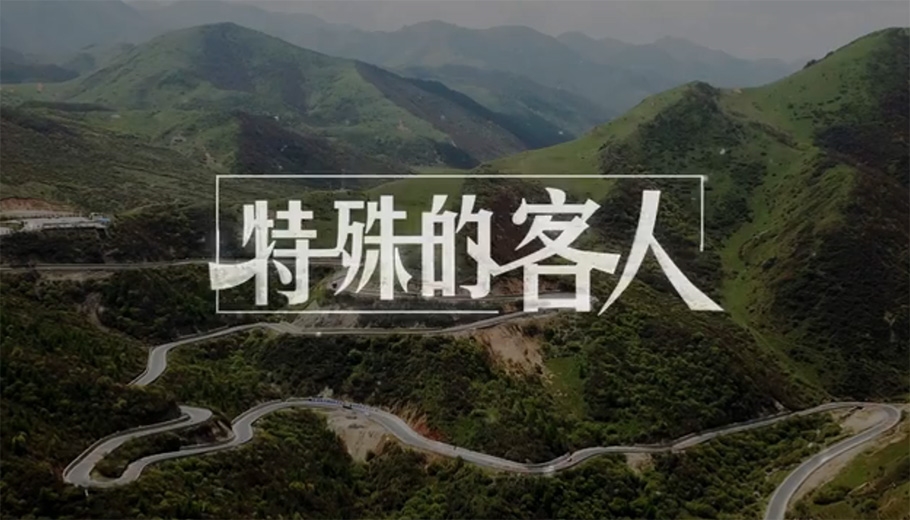 微视频：特殊的客人