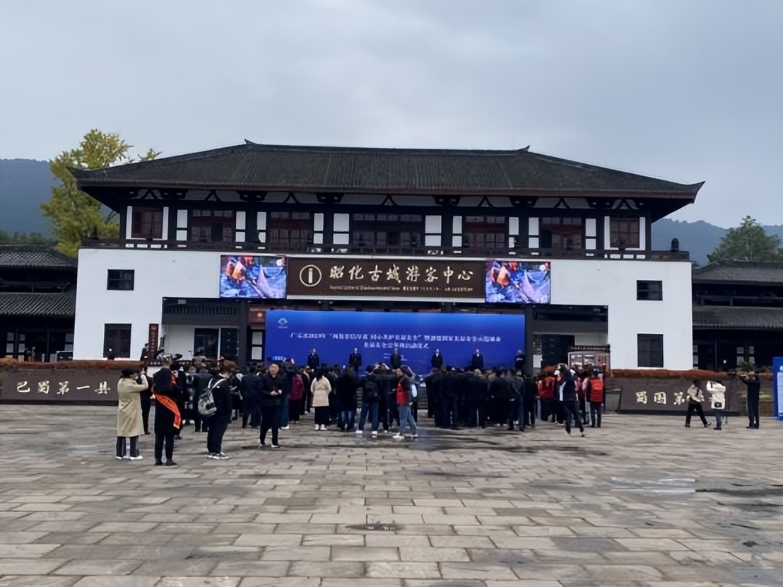 手册,安全知识解答,现场咨询等形式,向广大群众讲解在生活中购买蔬菜