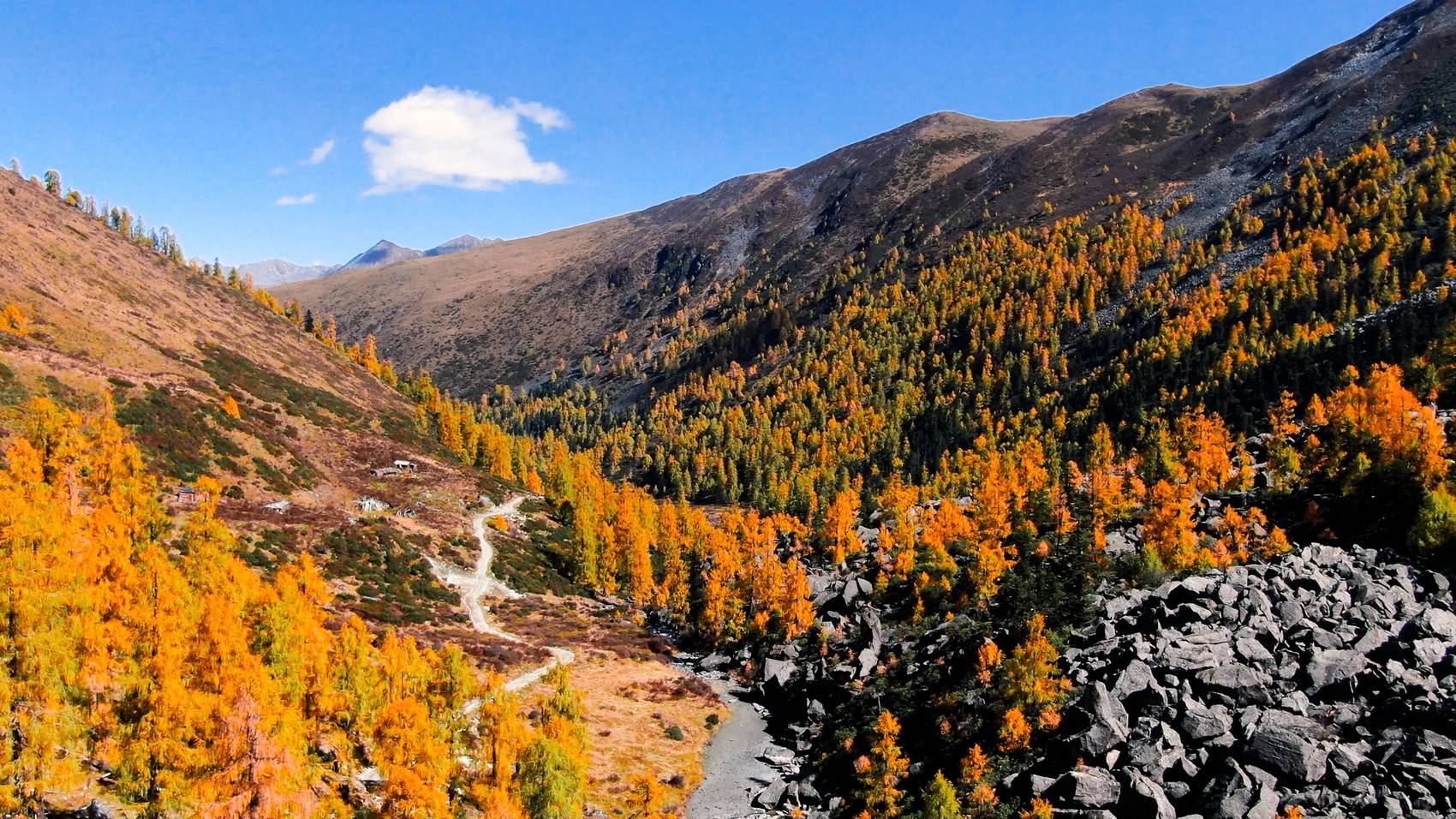 高清美图|五彩斑斓的彩林,秋天的道孚风景正盛_四川在线