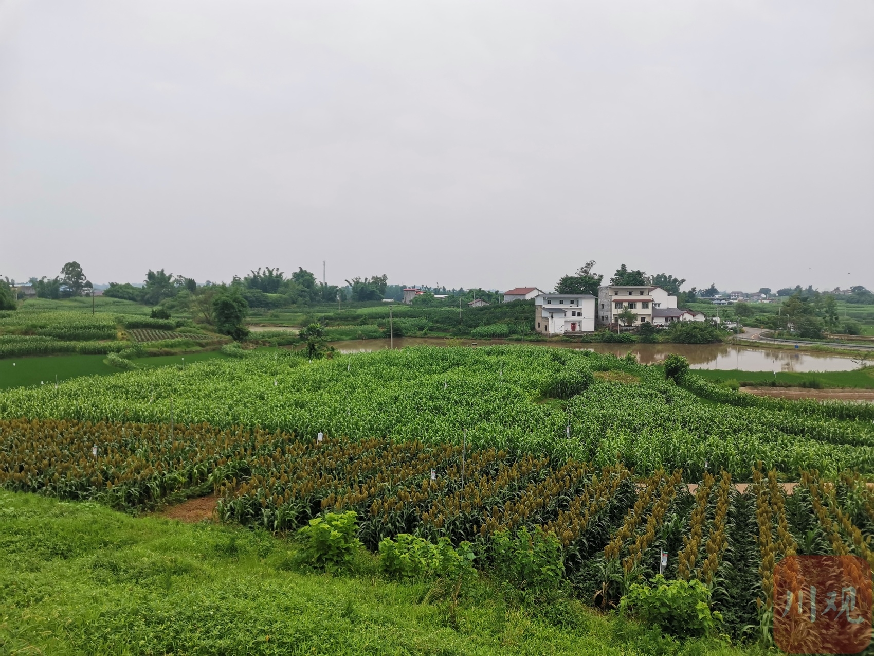 市州观察丨宣汉县建成高标准农田71万余亩_四川在线