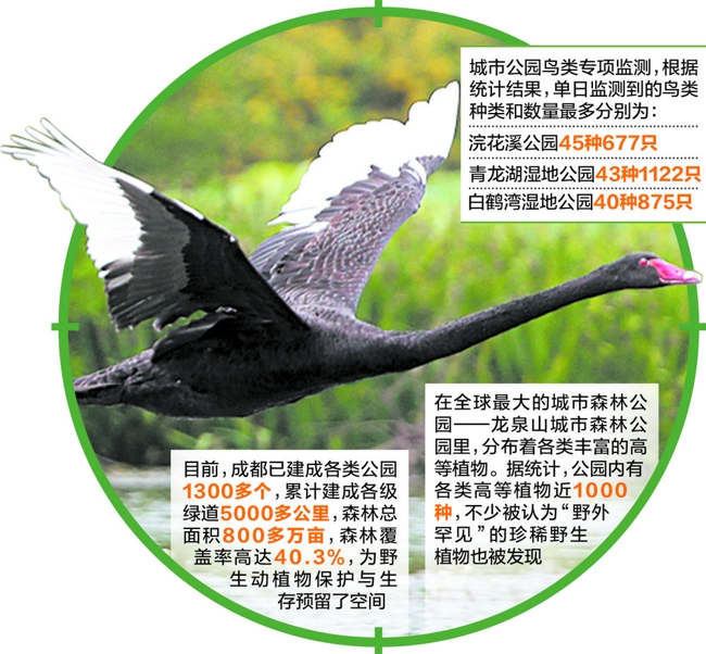 2022年上半年鸟类调查监测数据出炉 成都鸟类记录增至532种“天博·体育登录入口”(图3)