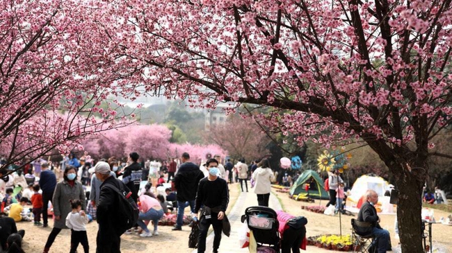 博鱼·体育中国入口|第五届天府迎春赏花节10个最美城市公园出炉 你去过哪几个？(图9)