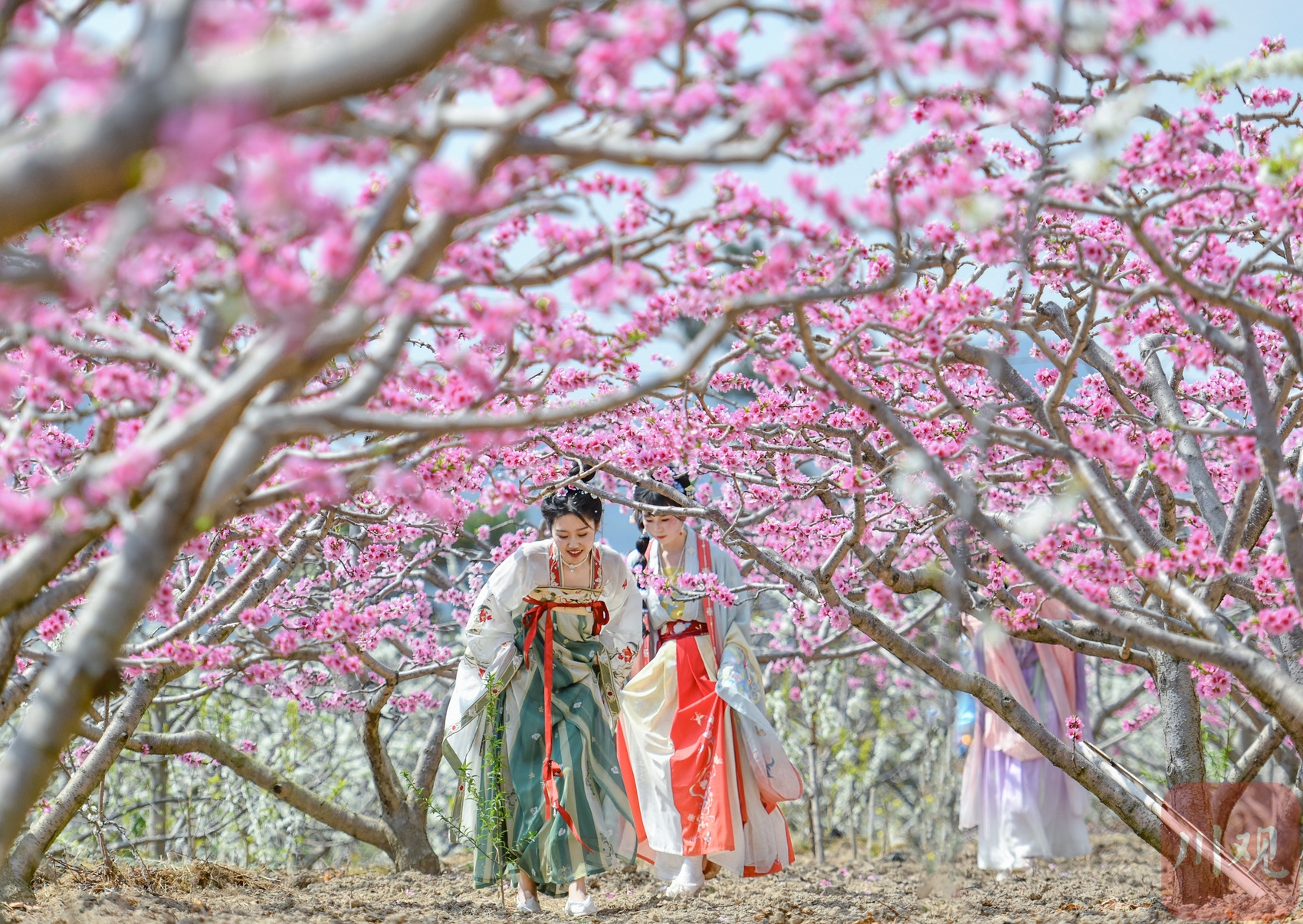 婚紗造型│夢幻花仙子 | Wphoto婚紗攝影線上雜誌