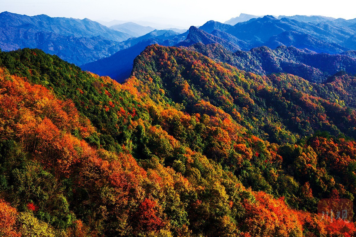 C视觉云游天府㉜|秋染剑门关大剑山-im电竞(图2)