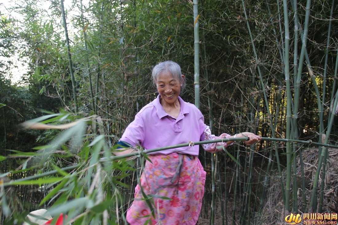 兴文县莲花镇，正在砍伐竹子的村民.jpg