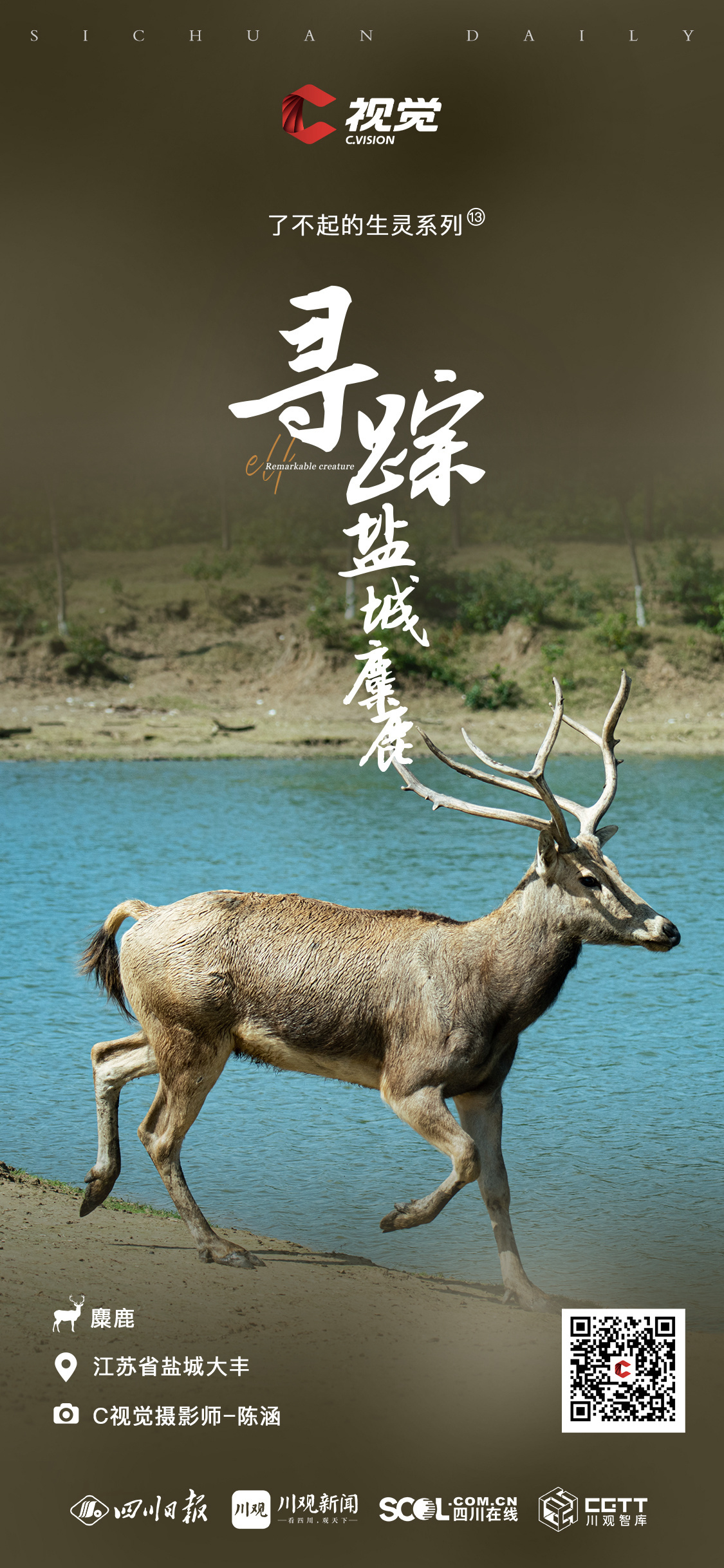 Kaiyun官方网：C视觉了不起的生灵⑬丨寻踪盐城麋鹿(图1)