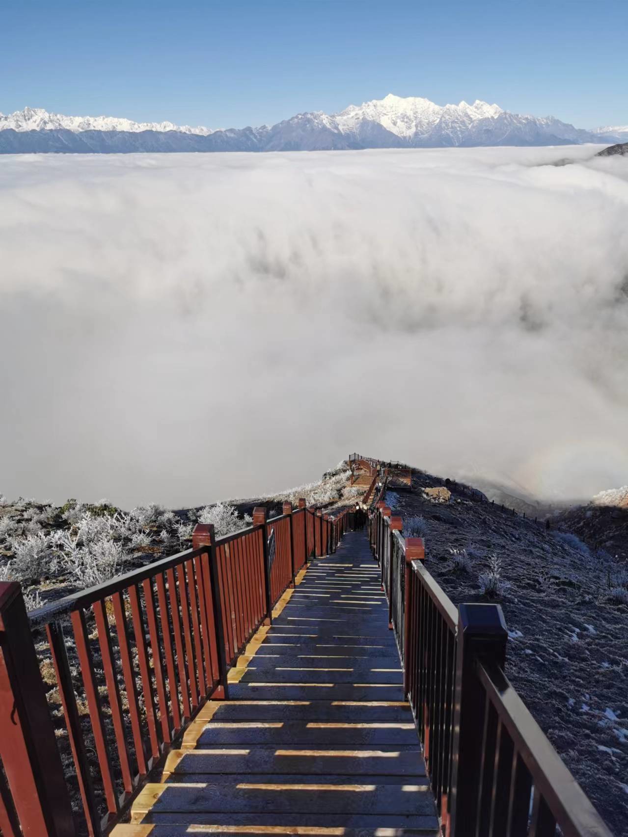 牛背山景区官网图片