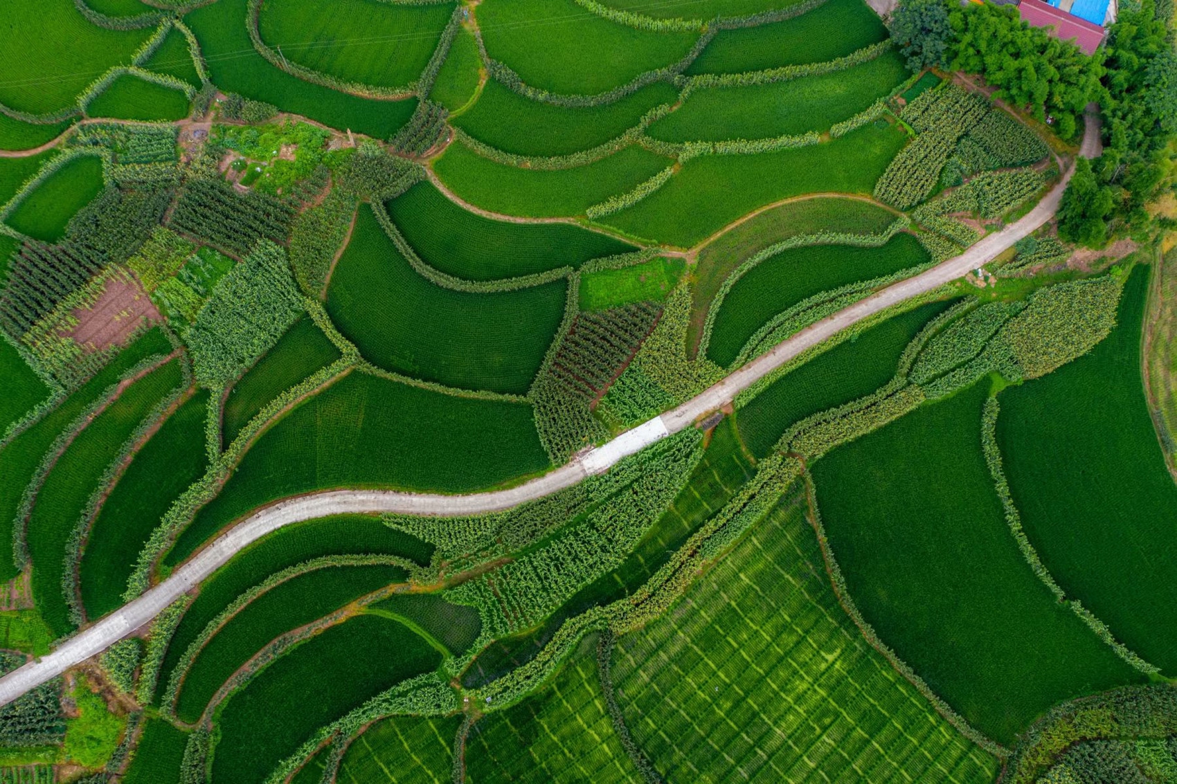 四川新闻>68>68滚动新闻>68>68正文1700_1133