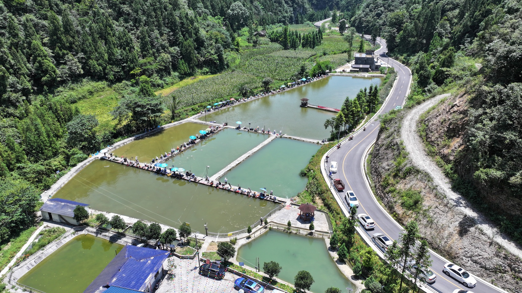 古蔺:箭竹高山冷水鱼遇热