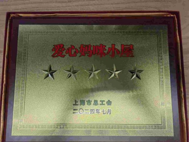 五星级