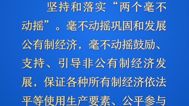 天天学习&middot;进一步全面深化改革⑳丨坚持和落实&ldquo;两个毫不动摇&rdquo;