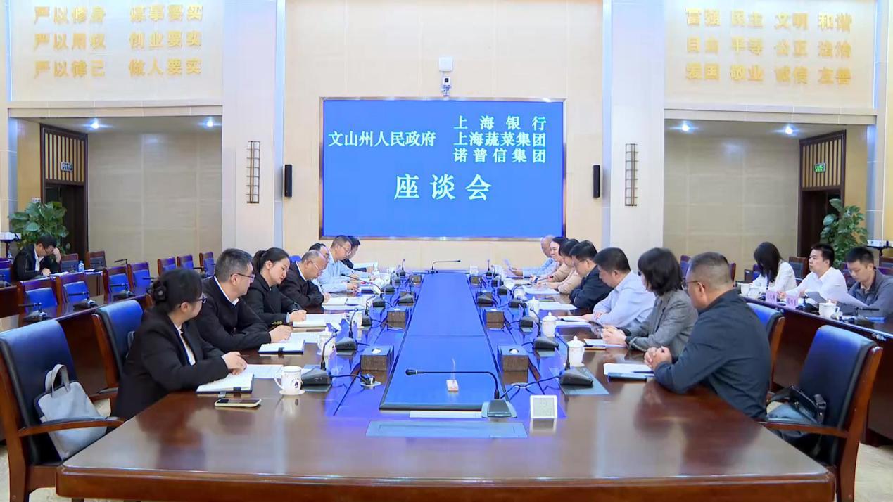 V文山州座谈会