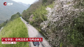 四川在线 - 四川第一门户网站