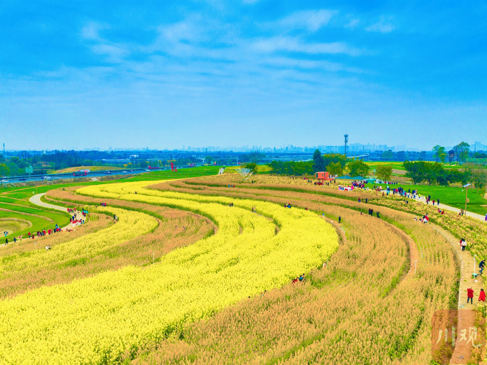 四川境内五彩油菜花图片