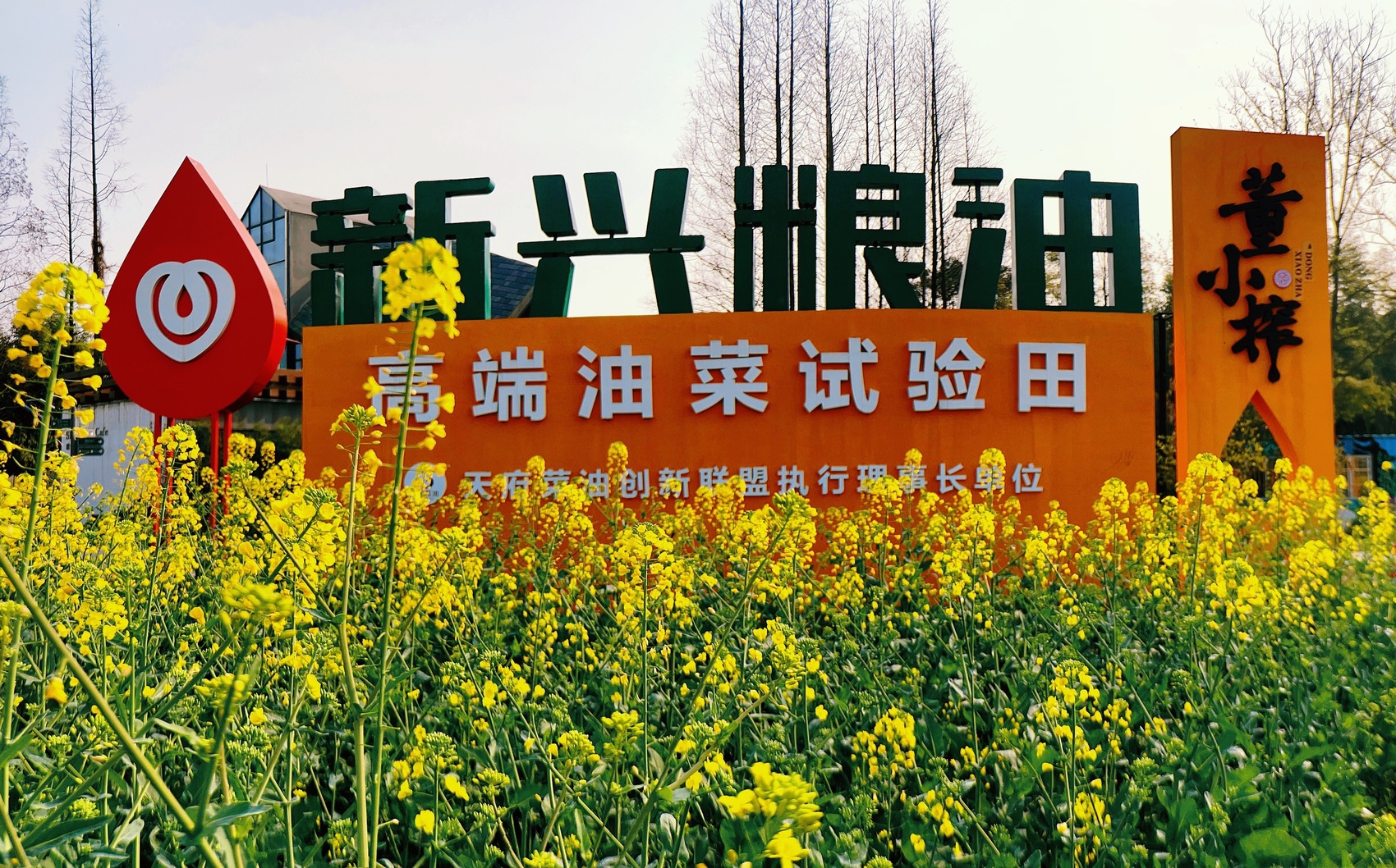 四川旅游學院錄取名單_四川旅游學院招生分數線_2023年四川旅游學院錄取分數線(2023-2024各專業最低錄取分數線)