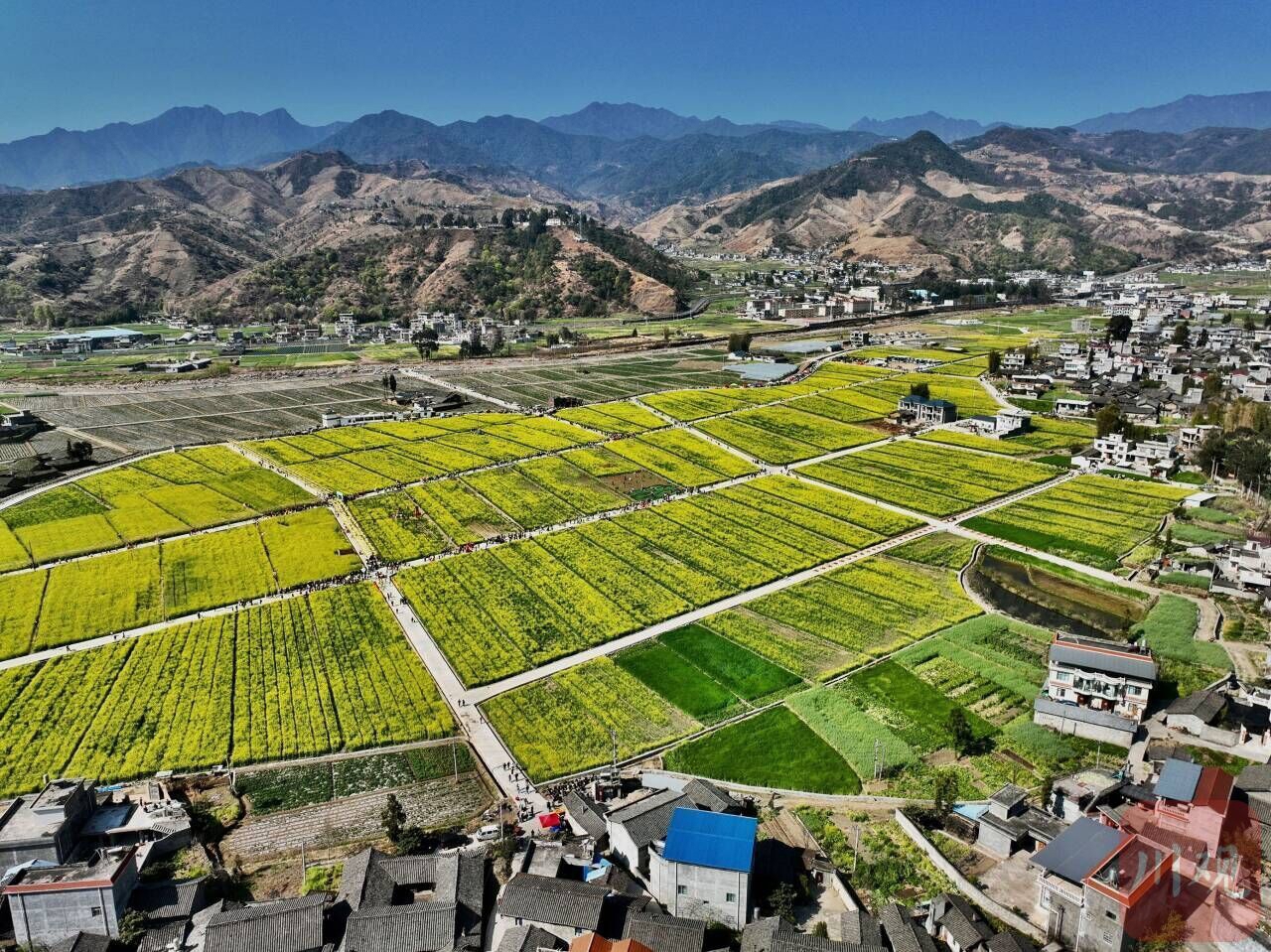 冕宁:嫦娥花间游卫星探苍穹 开启首届航天花韵文化旅游活动_四川韵哌