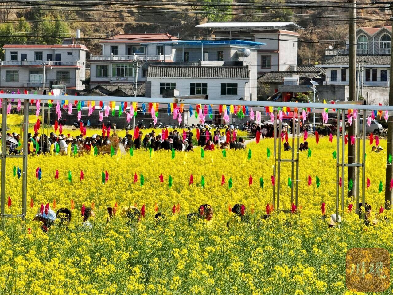 美图集冕宁嫦娥花间游61卫星探苍穹开启首届航天花韵文化旅游活动