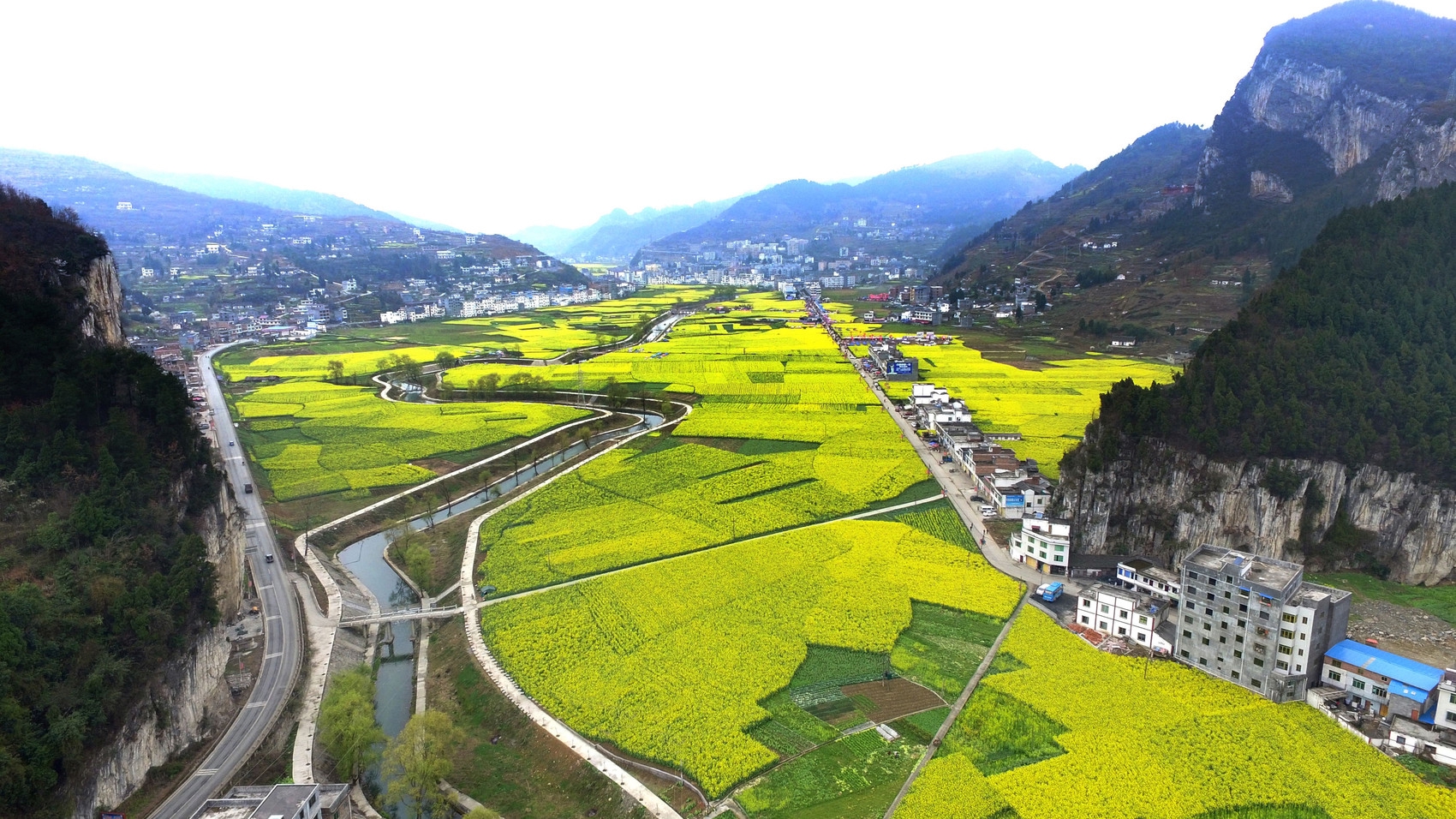 泸州弥陀油菜花景点图片