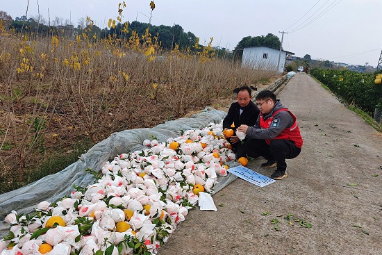 说明: http://web.piccnet.com.cn/icms/resource/ewebeditor/uploadfile2024/20250110091453125001.jpg