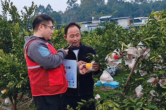 说明: http://web.piccnet.com.cn/icms/resource/ewebeditor/uploadfile2024/20250110091441430001.jpg