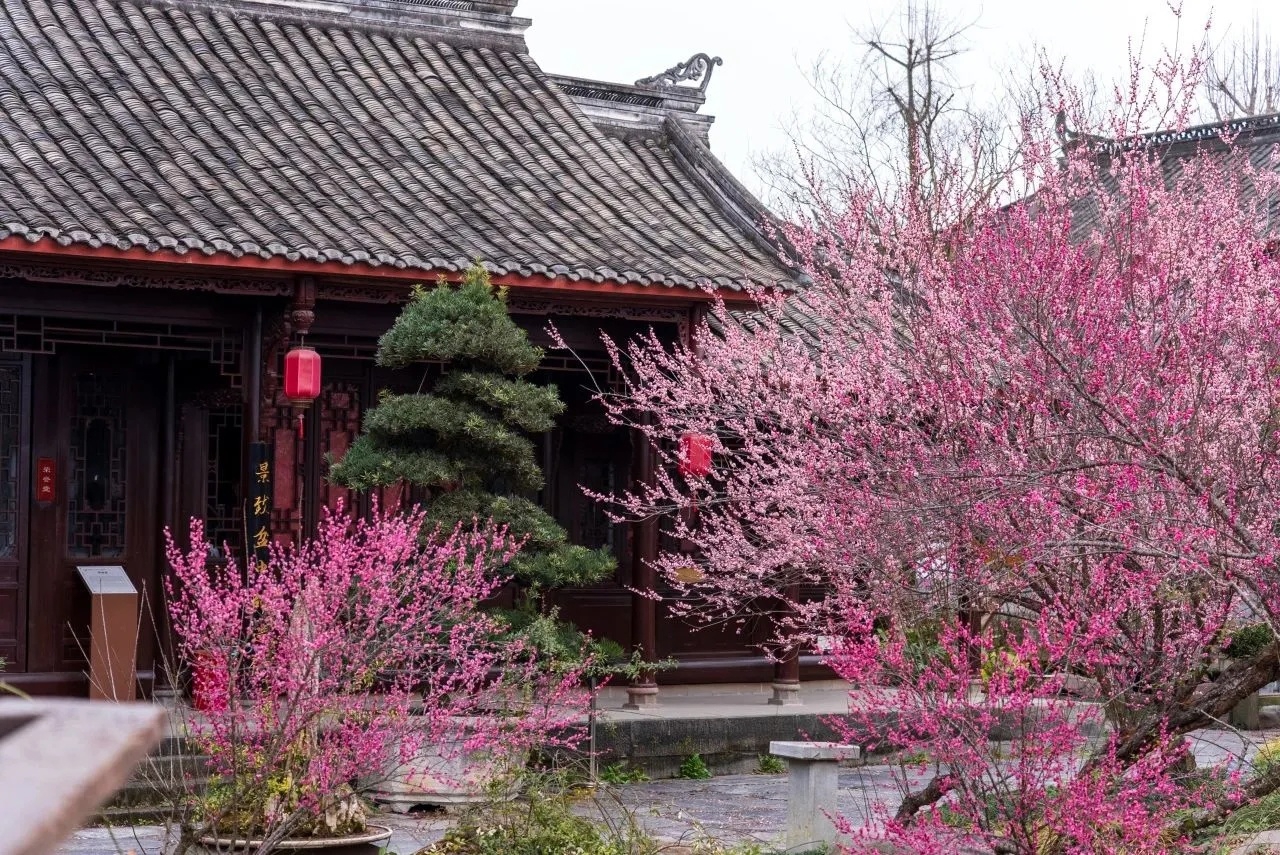 七宝花唐草宝寿文建水 七宝花唐草宝寿文建水