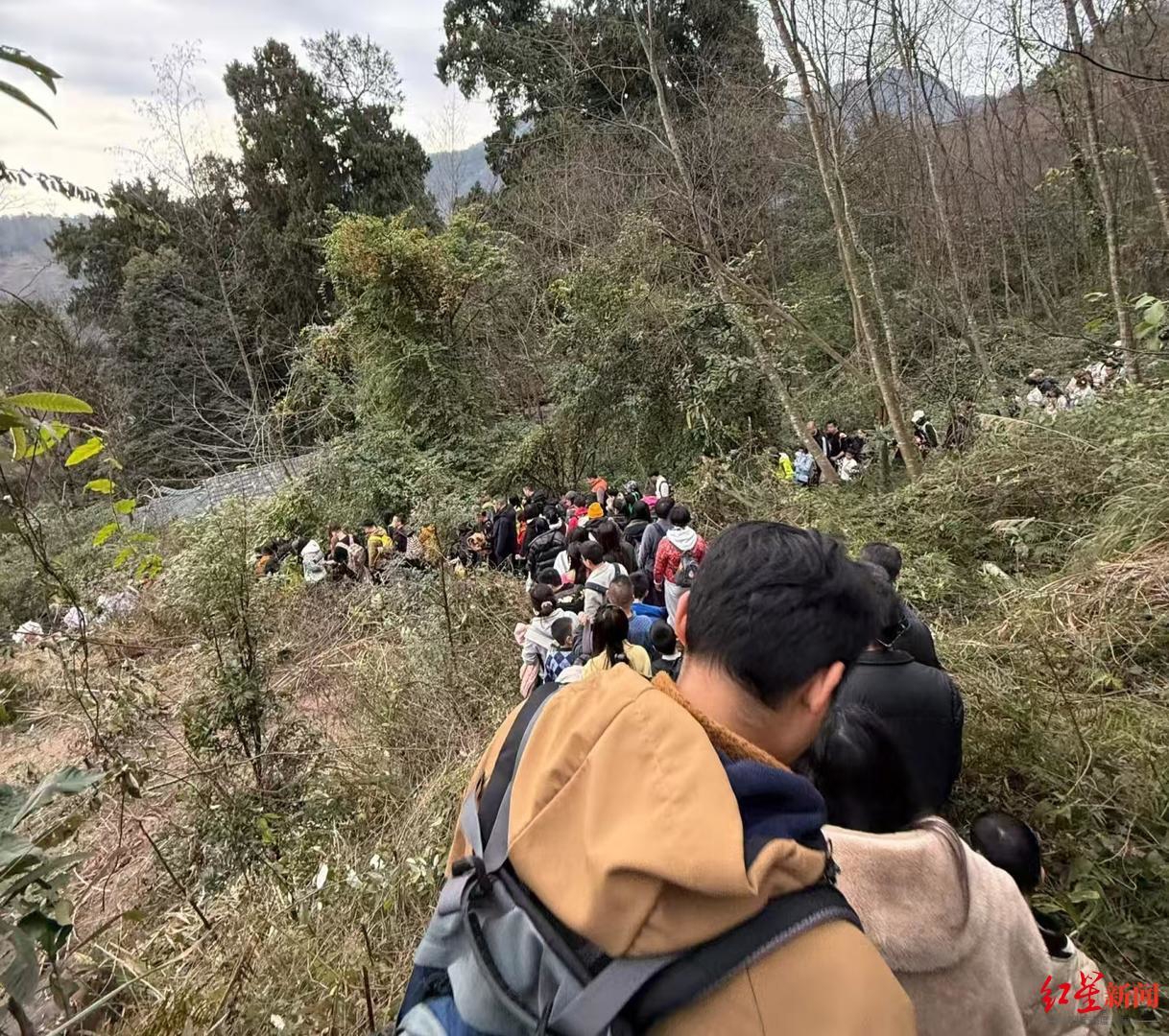 万人徒步赏梅“攻打”鹤鸣山，农家乐周末流水涨了约3倍！农户：花期将持续至3月
