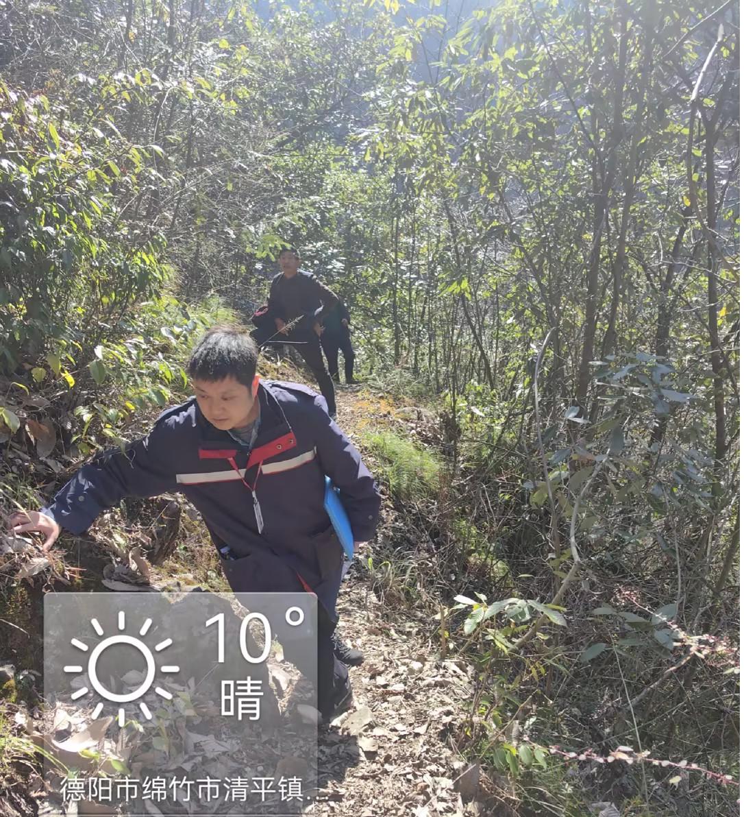 图片1
