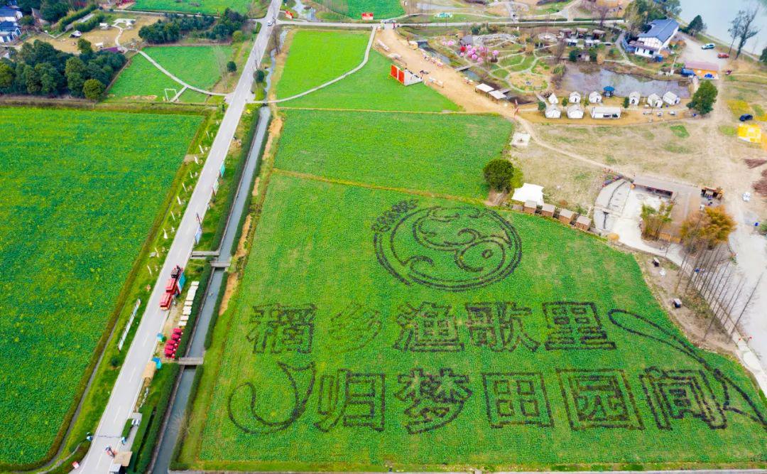 微信图片_20250315101044